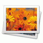 A Maximum Sample of 1